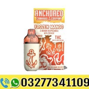 Anchored 3g Disposable Frozen Mango In Pakistan