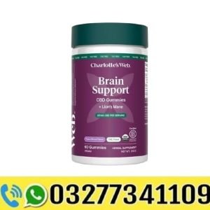 Brain Support CBD Gummies In Pakistan